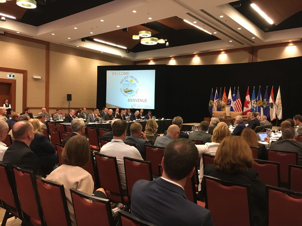 Market Access International, Inc.